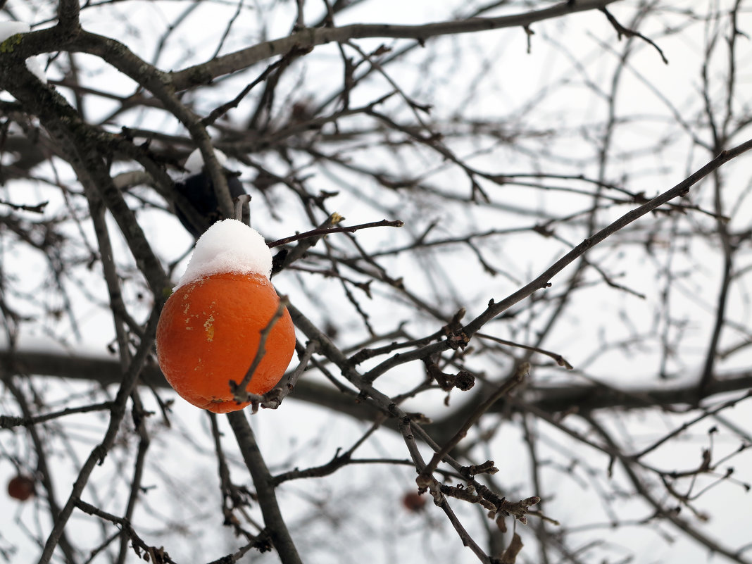 ... - Сергей Яснов