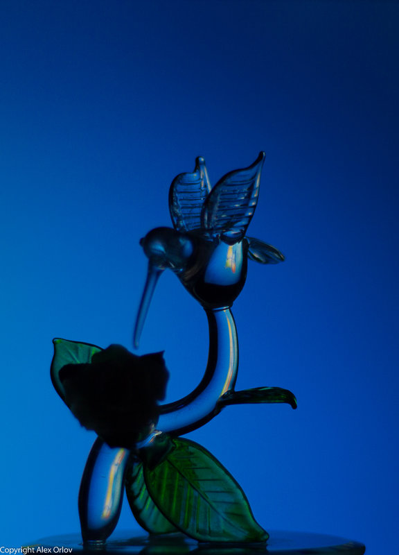 птица - Александр Орлов