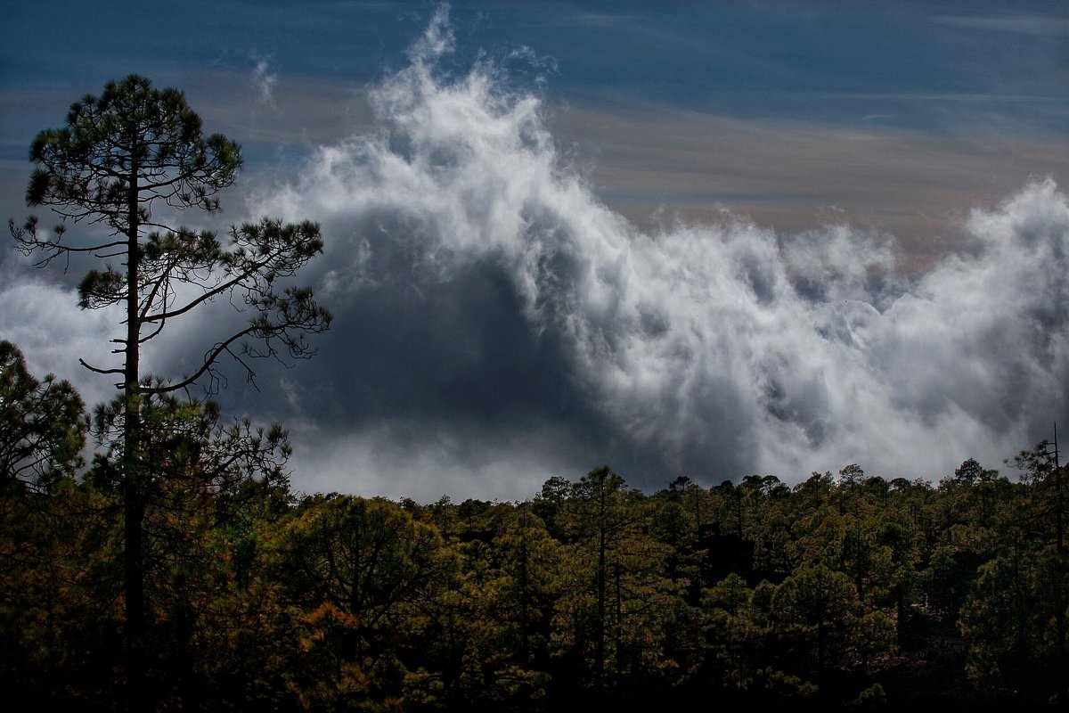 Цунами... - Roman Mordashev Цунами... - Roman Mordashev