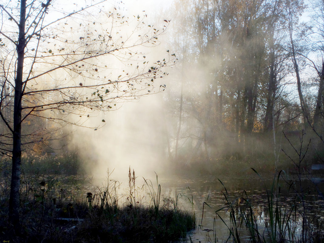 Smoke on The Water (см. описание) - Юрий Цыплятников