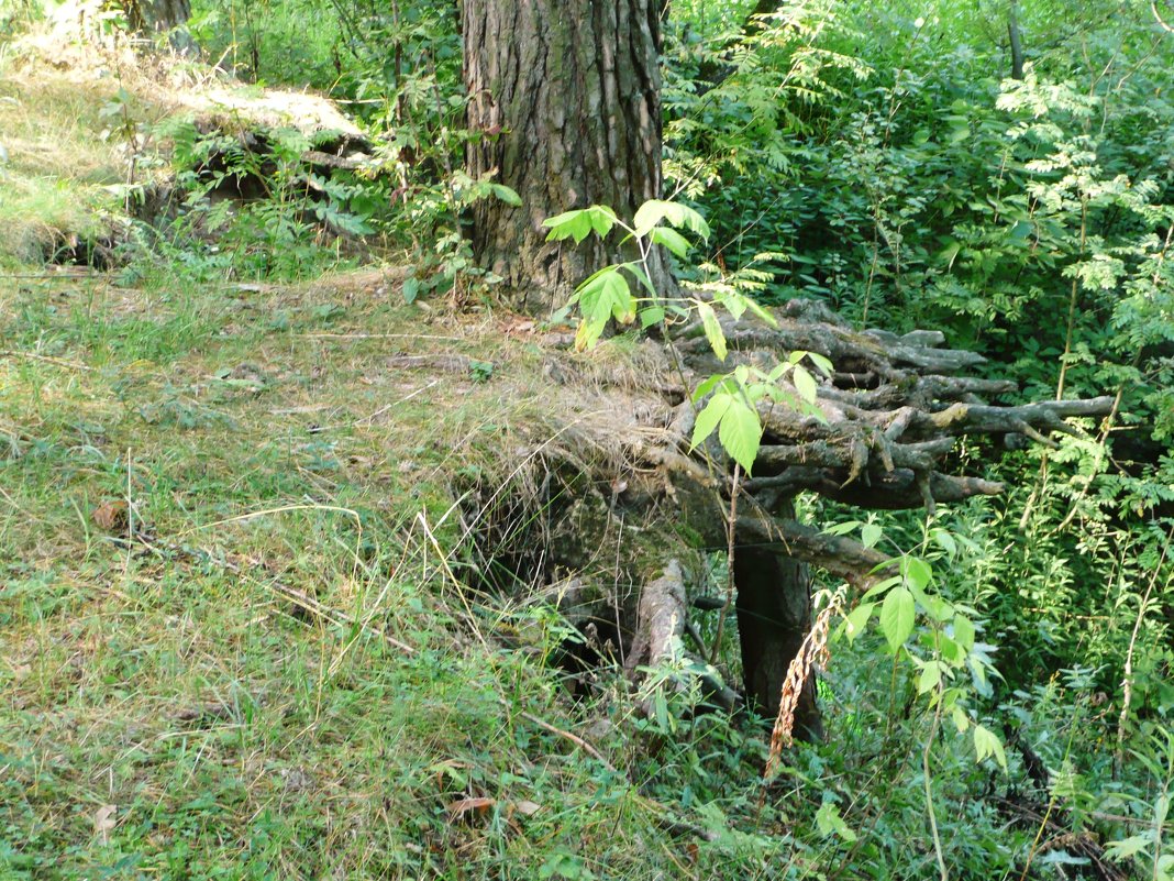 Летать охота... - Владимир Холодницкий