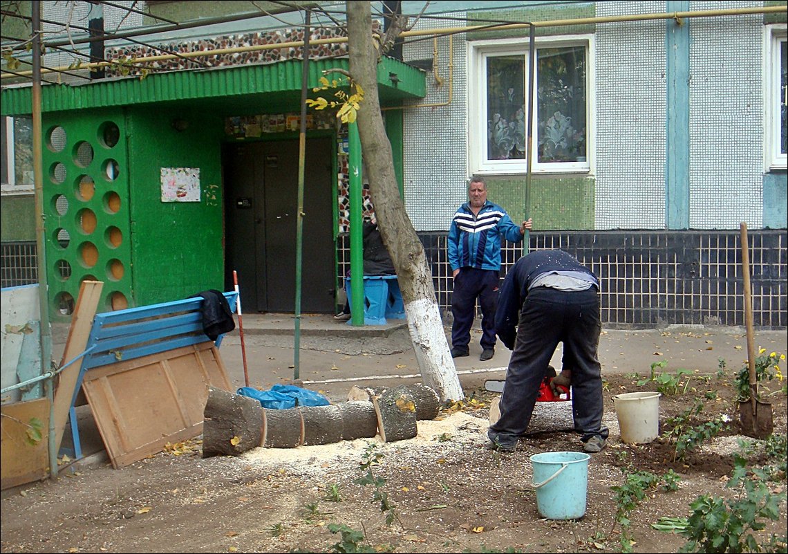 Было дерево... - Нина Корешкова