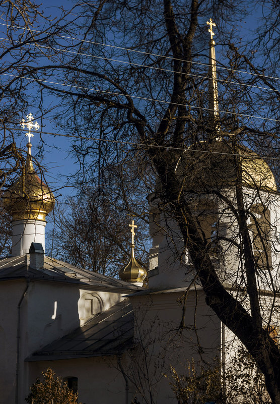 Псков. Церковь Алексия, человека Божия с поля - Сергей Петров