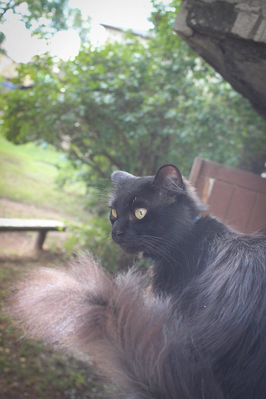 *** - Валентина Жукова *** - Валентина Жукова