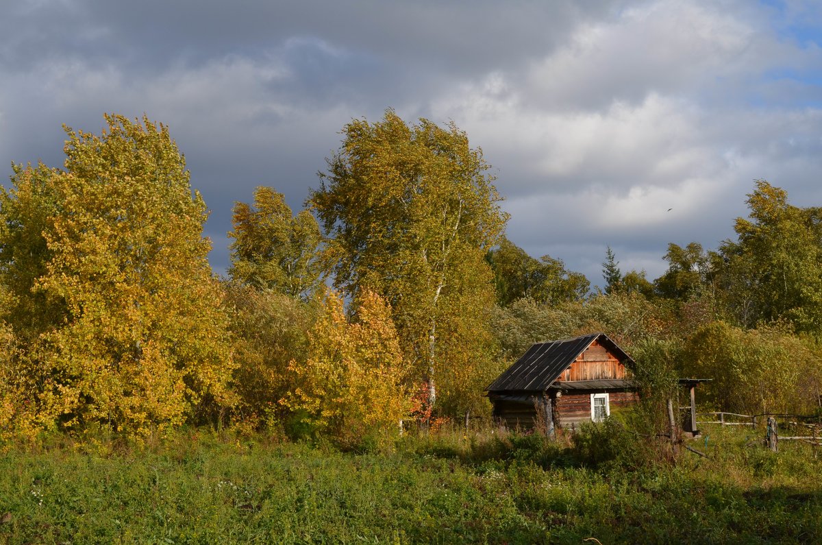 В лесу - Вера Андреева В лесу - Вера Андреева