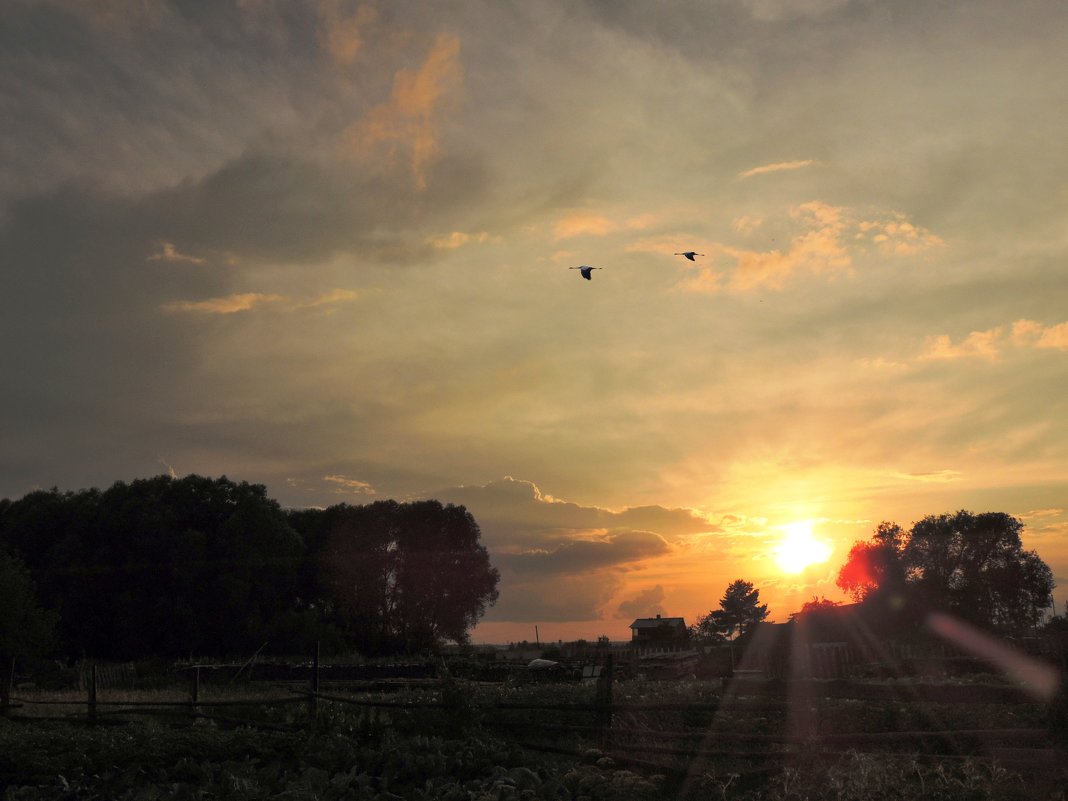 На закате - Геннадий Ячменев