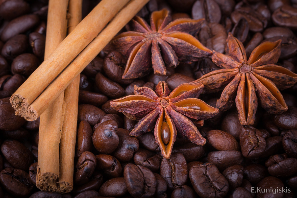 * - egis kunigiskis * - egis kunigiskis