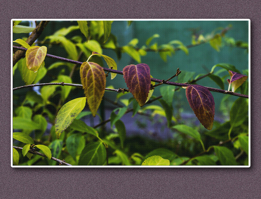 Последние осенние штрихи - Владимир Кроливец Последние осенние штрихи - Владимир Кроливец