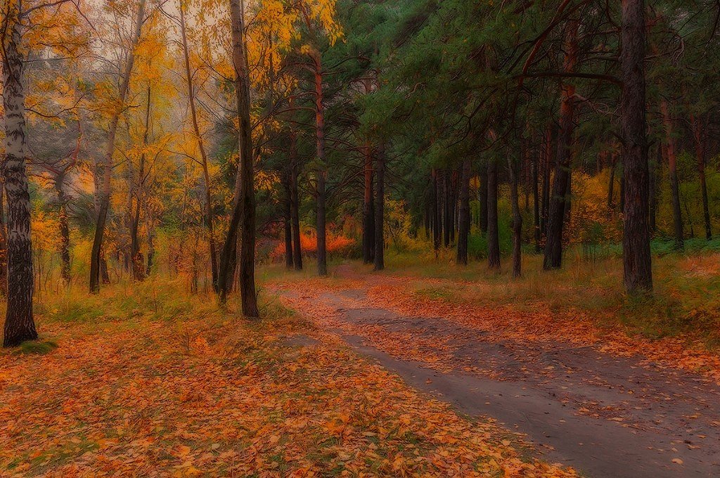 яркие краски осени - Елена Баландина