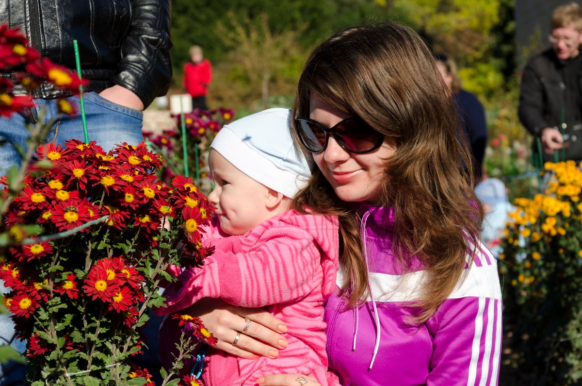 *** - Максимилиан Штейн-Цвергбаум