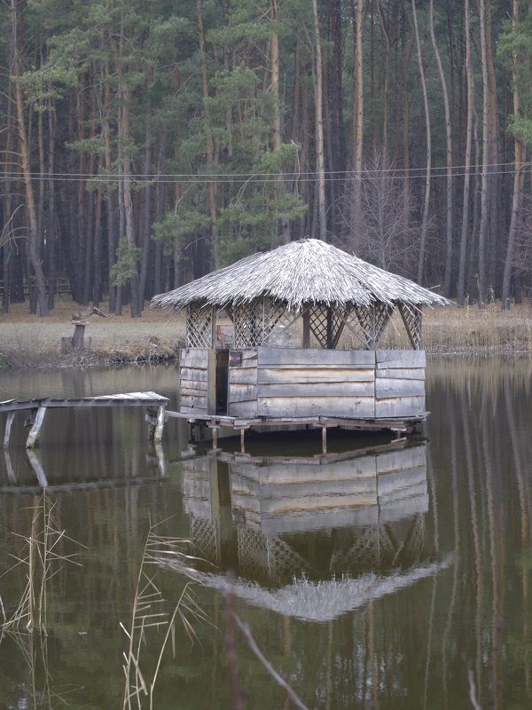 ! - Александр Литвинов