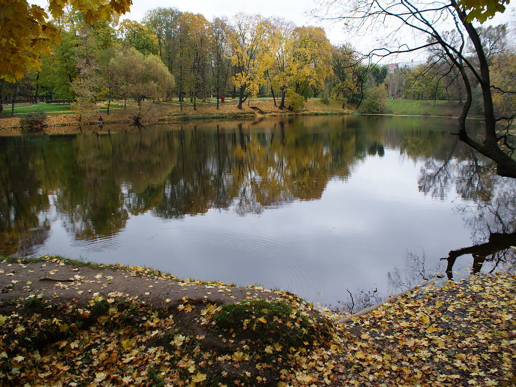 Головинский пруд в Лефортово - Николай Дони