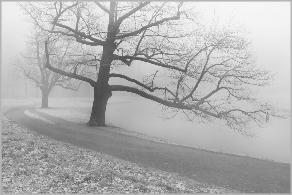 *** - Виктория Павлова *** - Виктория Павлова