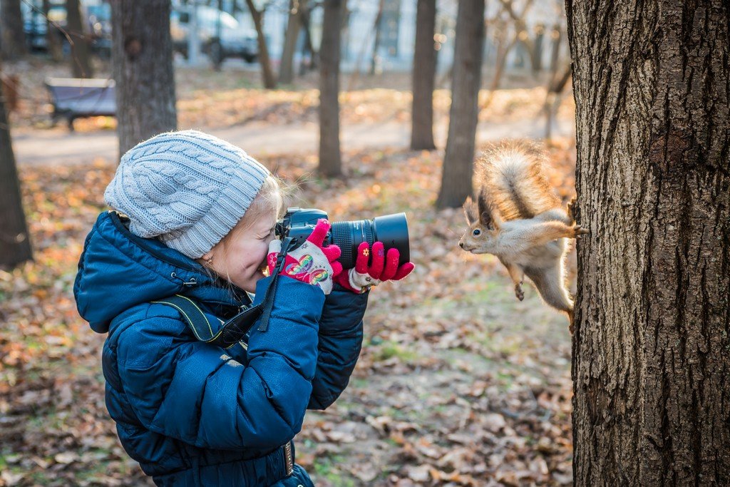 Белки - Alex SkomoroX Белки - Alex SkomoroX