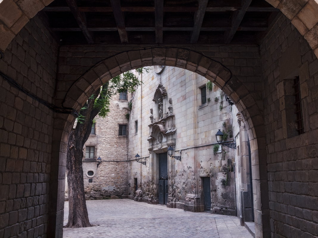 Роман Фарберов - Plaza de San Felipe Neri, Barselona, Spain - Фотоконкурс Epson