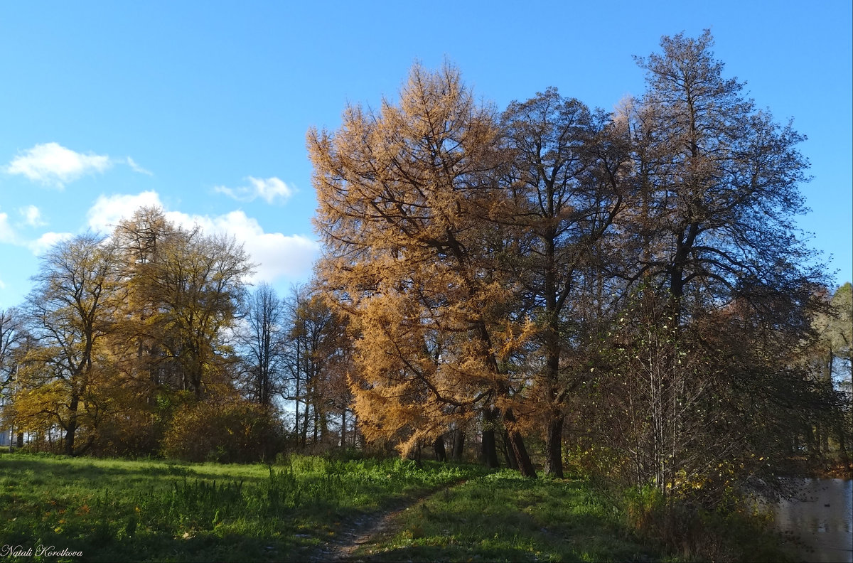 *** - Наталия Короткова