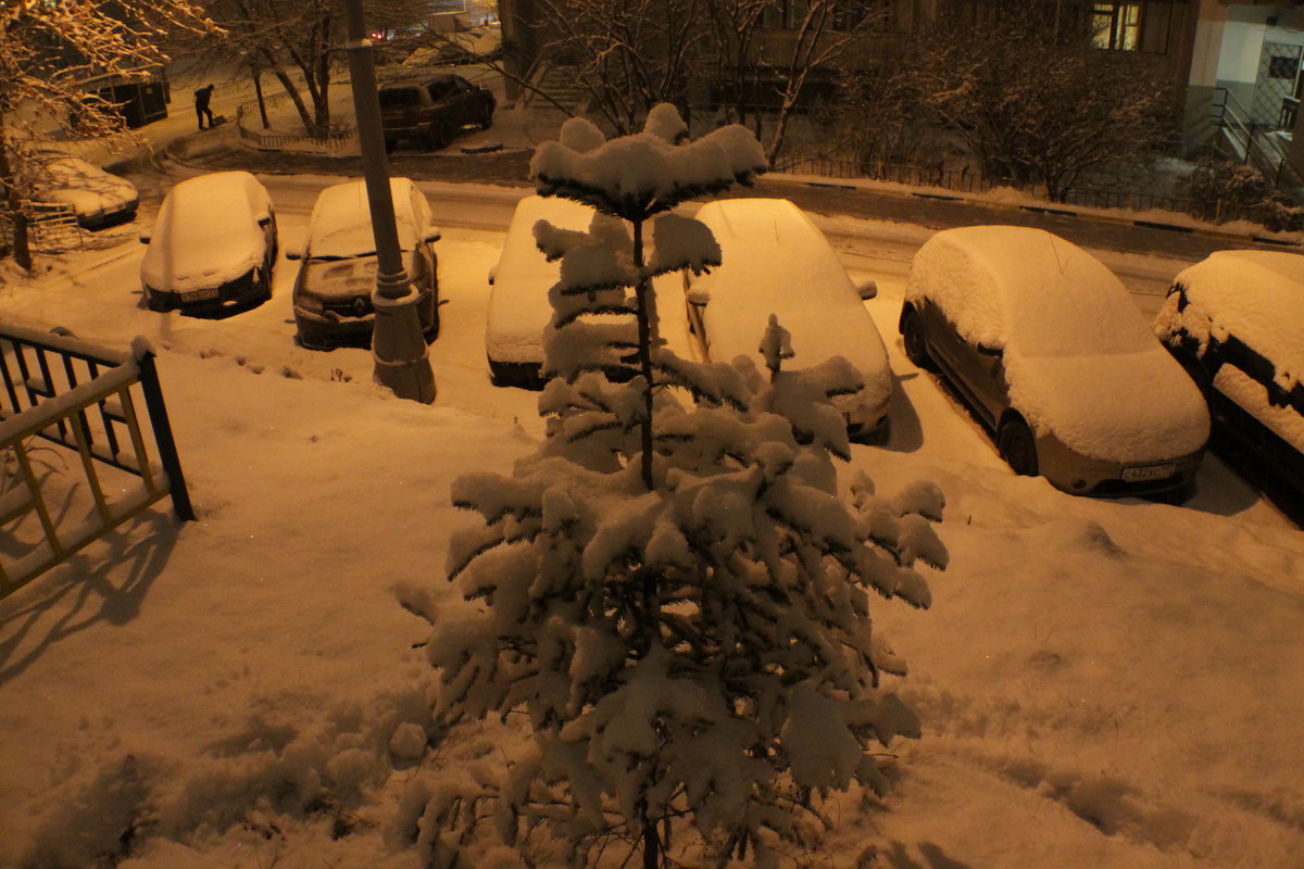 *** - Владимир  Зотов 