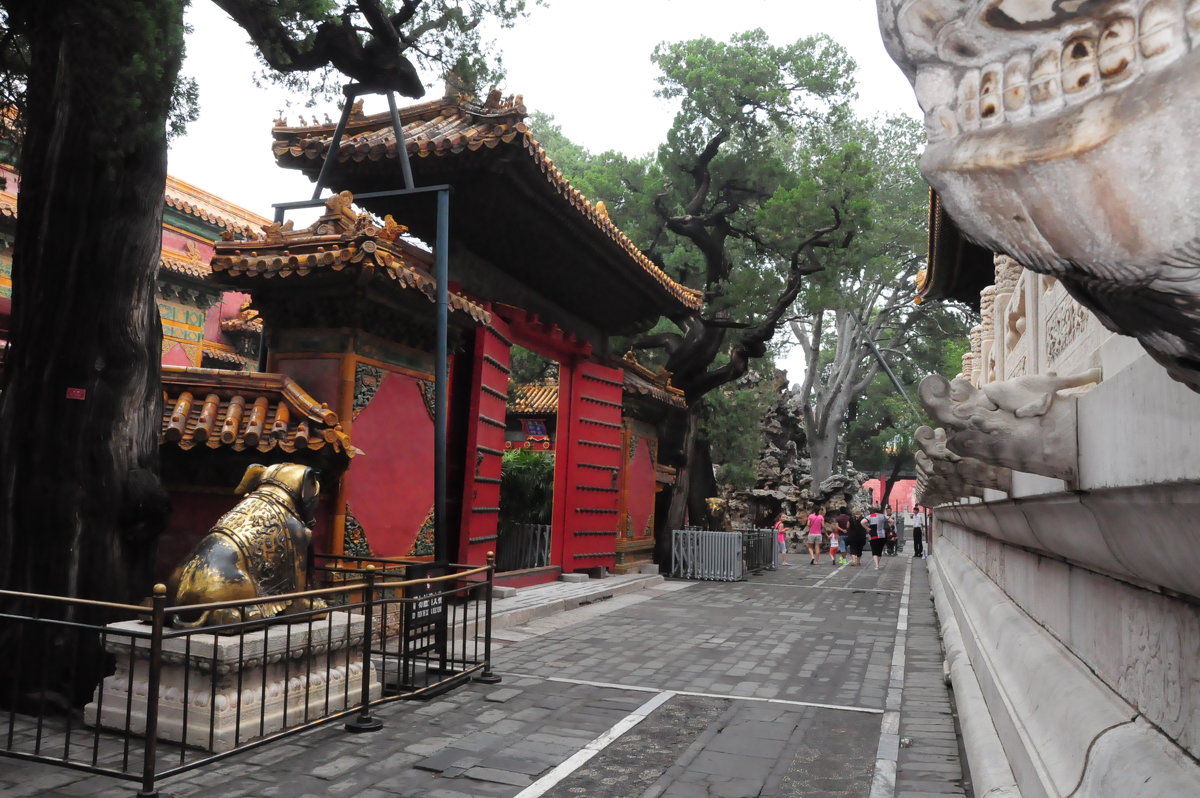 ... - александр кайдалов