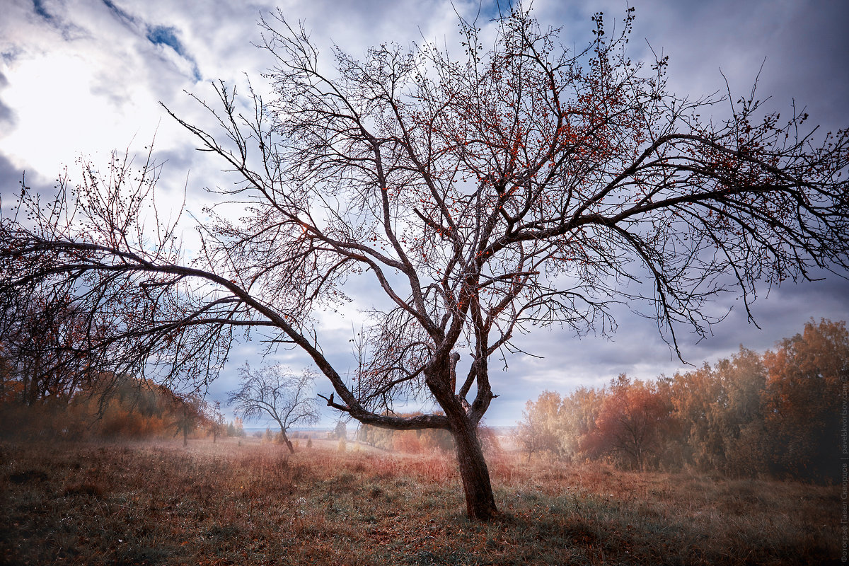 Nature - Pavel Skvortsov