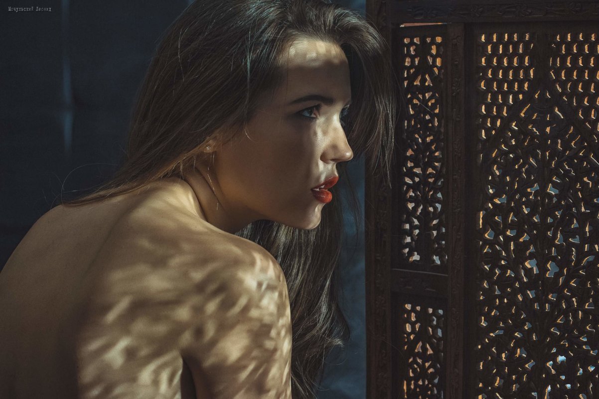 Свет и глаза - Леонид Мочульский