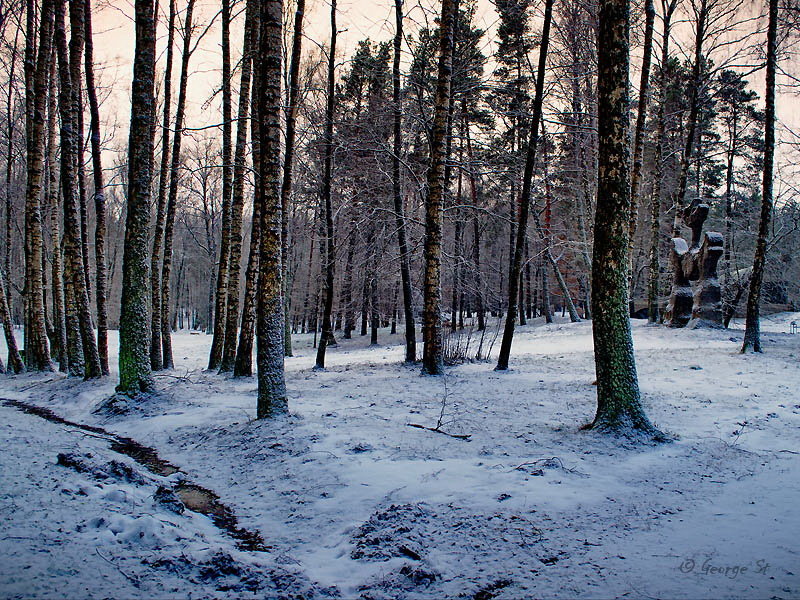 Зимний лес IV - Георгий Столяров