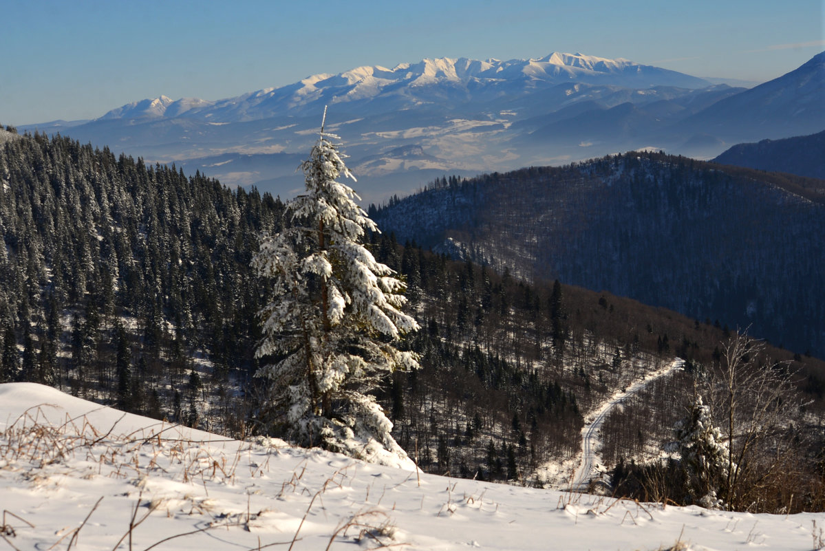 Tatry - Nina sofronova