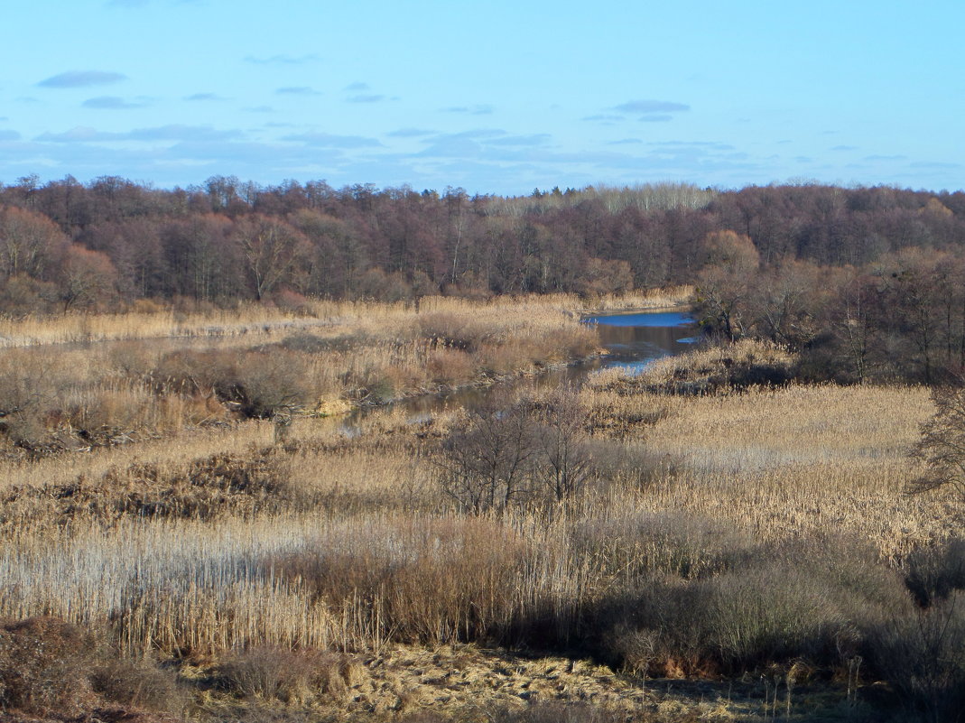 ** - Наталия С-ва