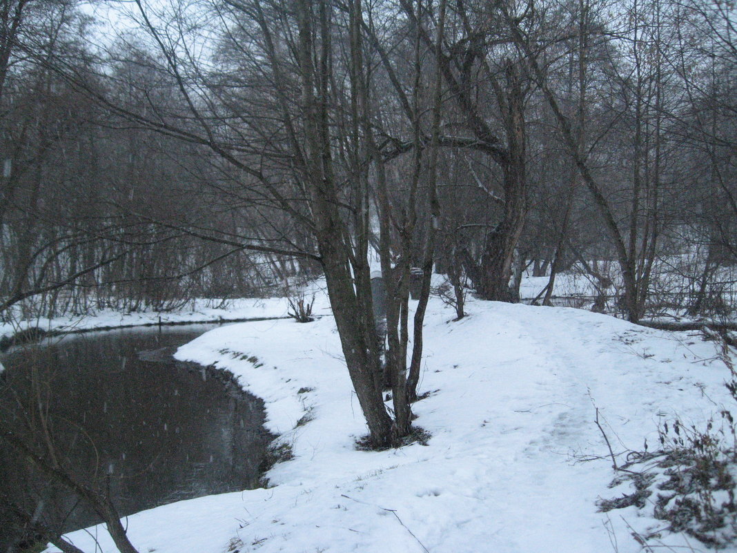 В лесопарке - Джулия К.