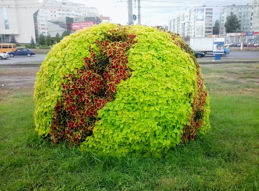 Прогулка по бульвару - Алексей 