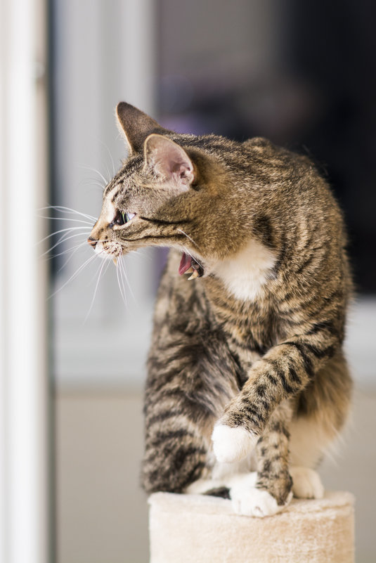 ... - Лия Таракина