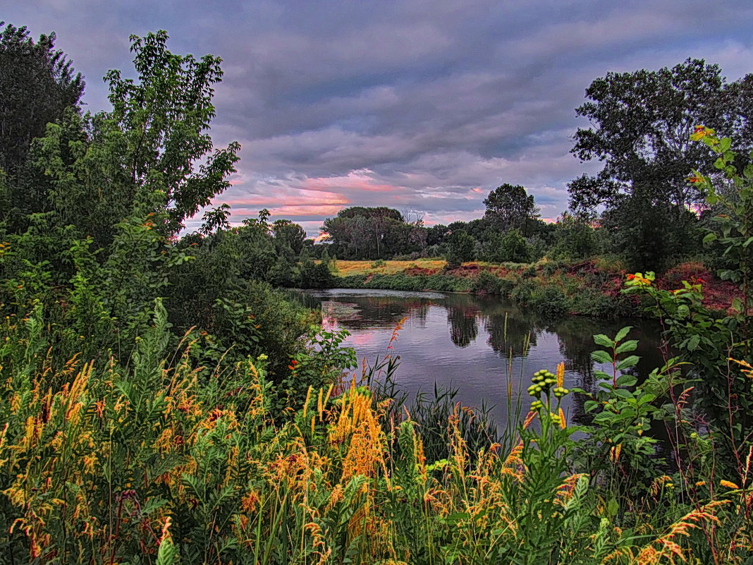 Лето обыкновенное . - Александр Макурин