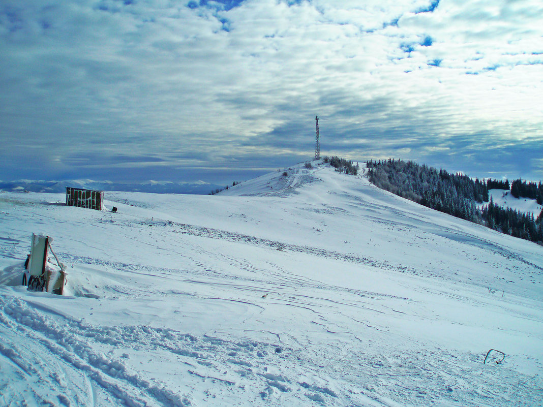 ... - Елена Михайловна