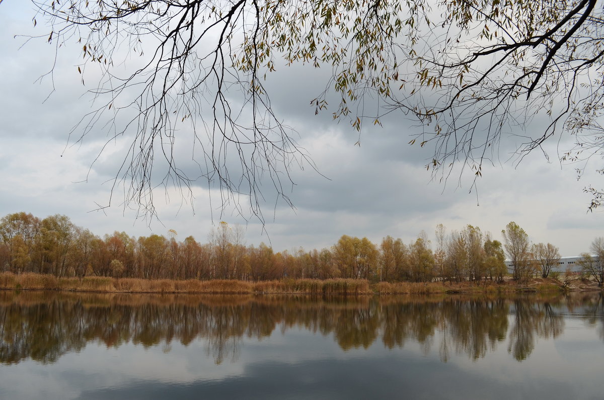 Осень... - Валентина Данилова