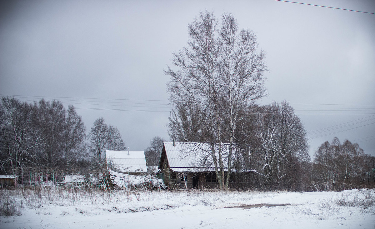 Январь 2015 - Людмила Комарова