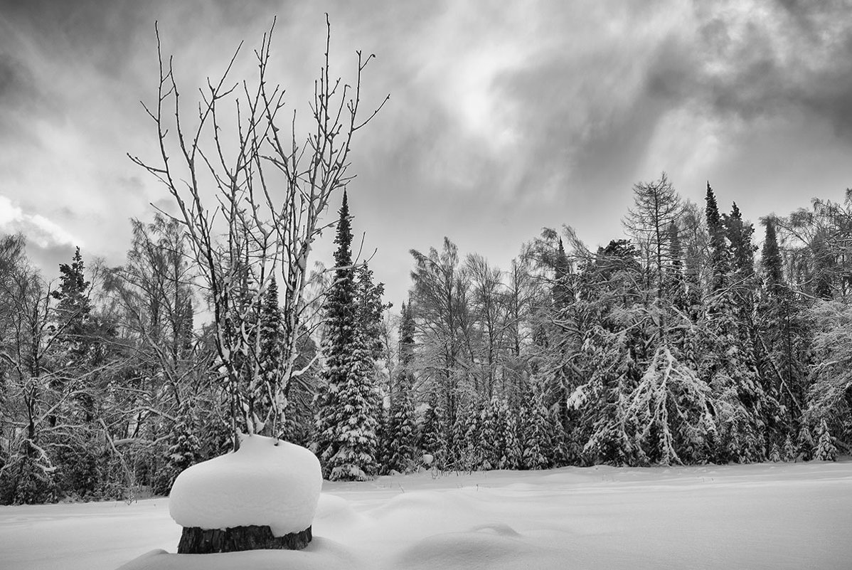 вторая молодость - ИриSка &