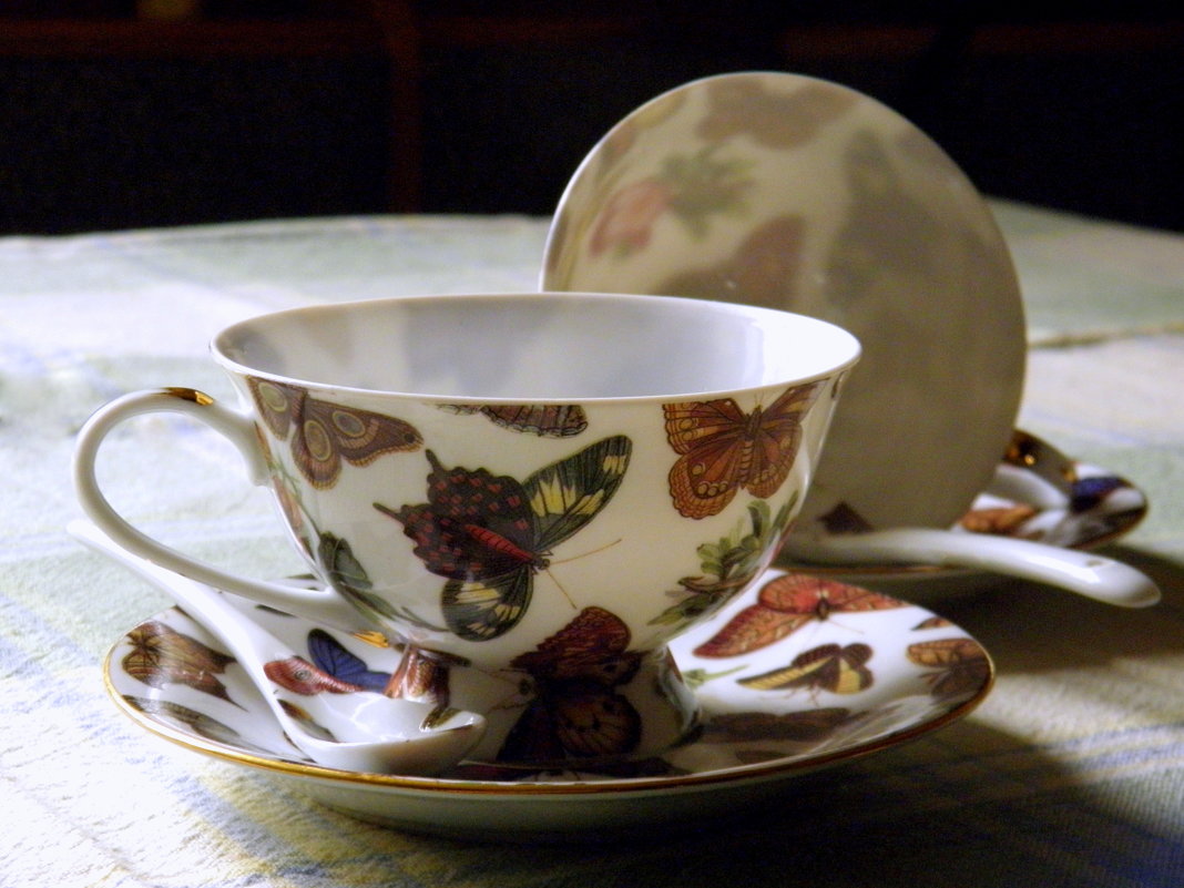 * * * - Елена * * * - Елена