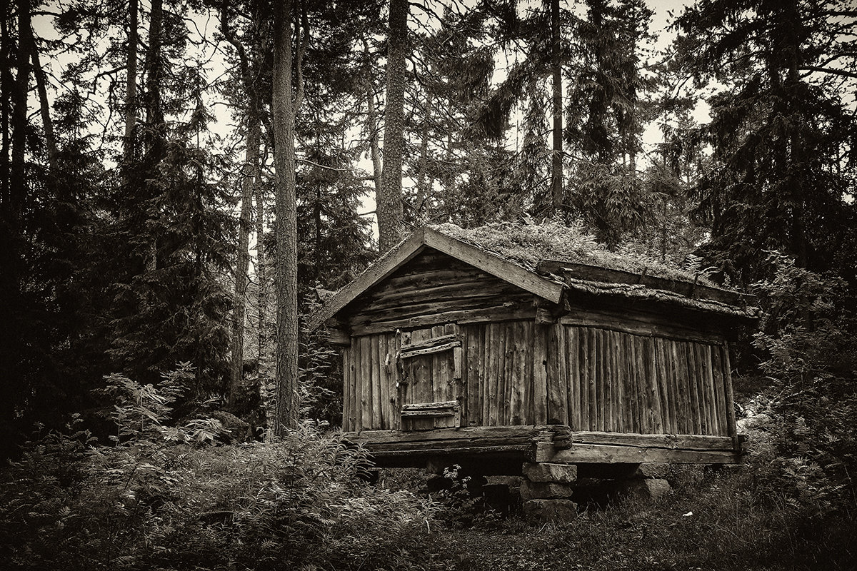 *** - Евгений Барзенков *** - Евгений Барзенков