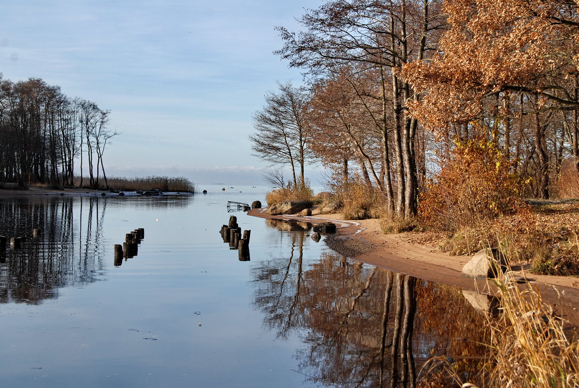 Утро на воде - Николай Танаев