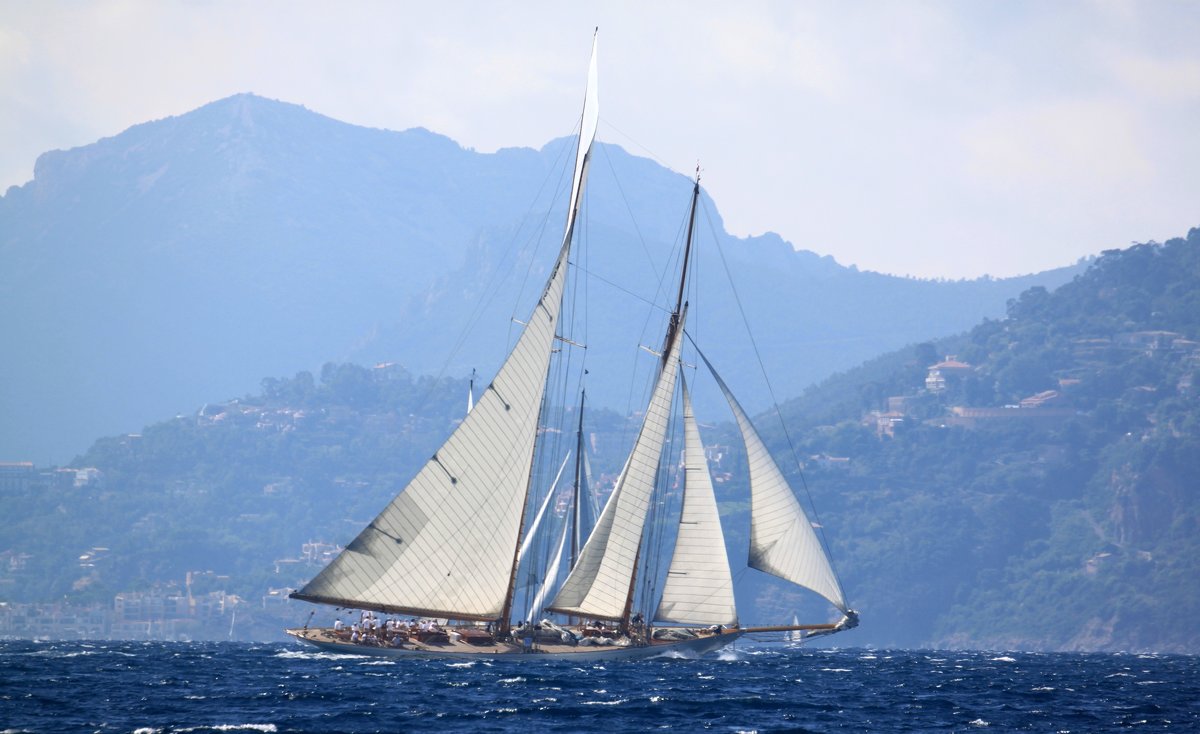 Регата - Таня Фиалка Регата - Таня Фиалка