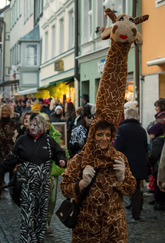 Faschingsumzug Kaufbeuren 2015 - Vladimir Urbanovych