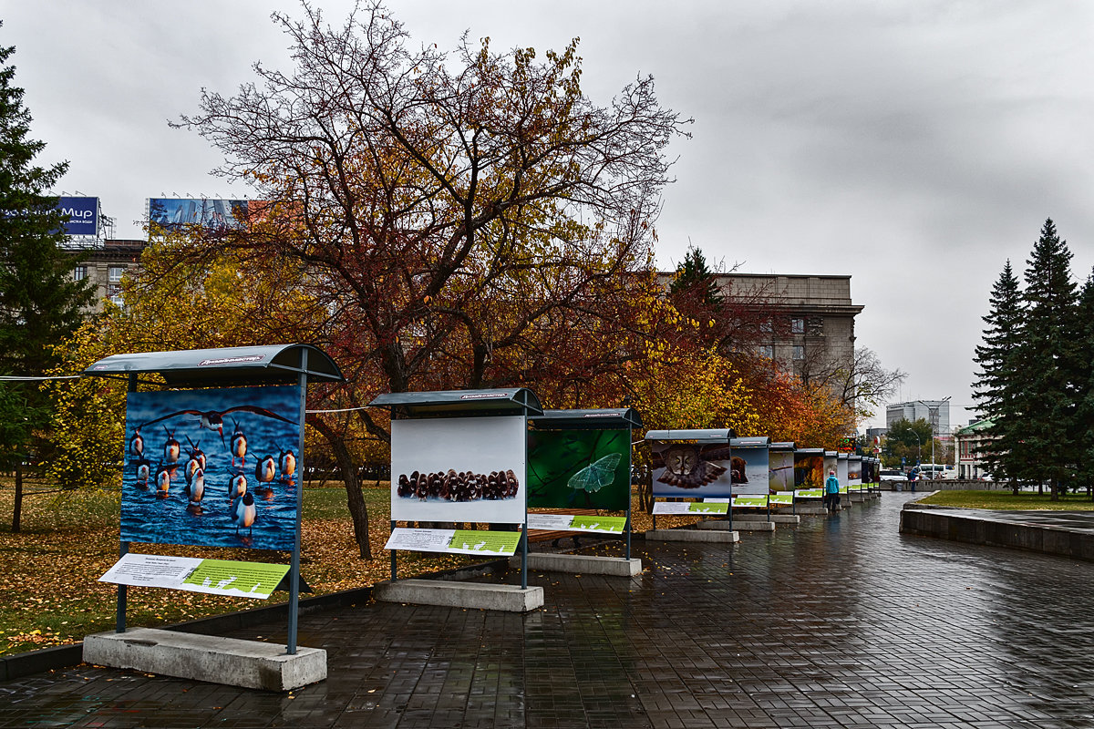 Городские зарисовки - Sergey Kuznetcov