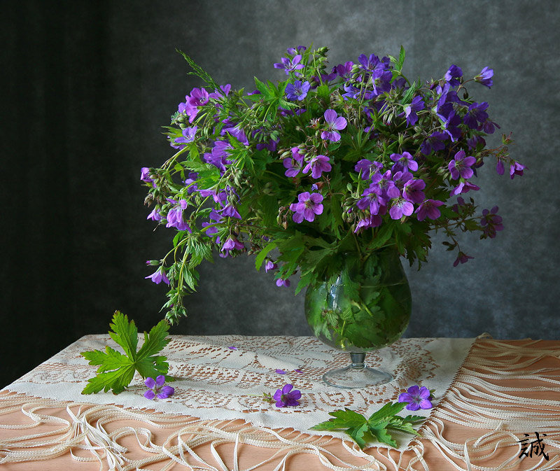 Герань - Наталья S Герань - Наталья S