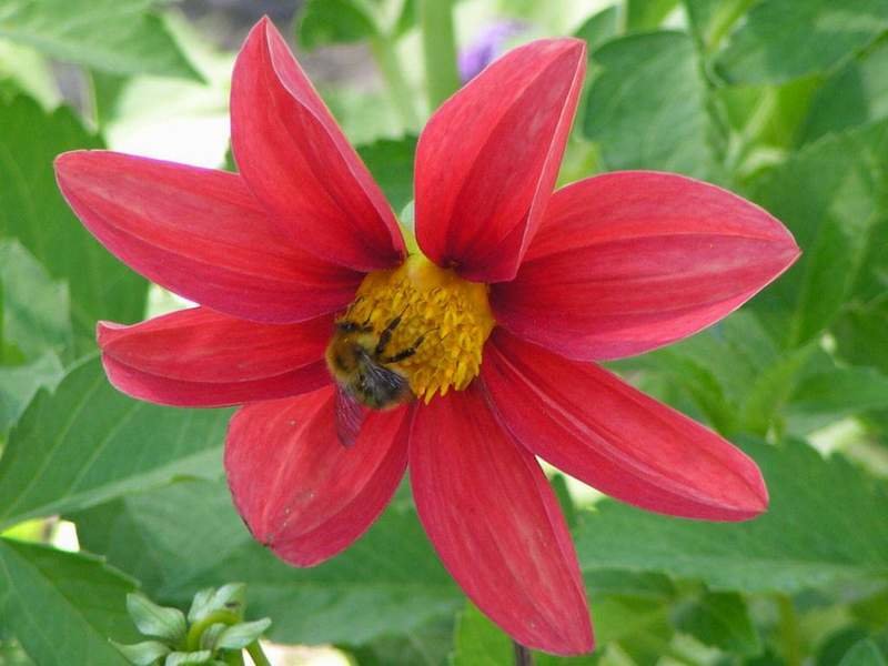 Трудяга - Михаил Андреев