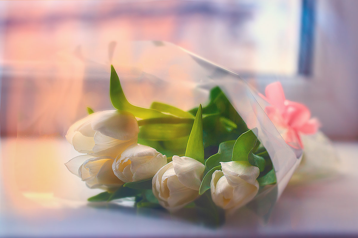 С ДНЕМ ВЕСНЫ И КРАСОТЫ! - Наталия M С ДНЕМ ВЕСНЫ И КРАСОТЫ! - Наталия M