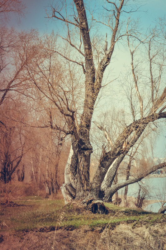 --- - Ant Glazychev --- - Ant Glazychev