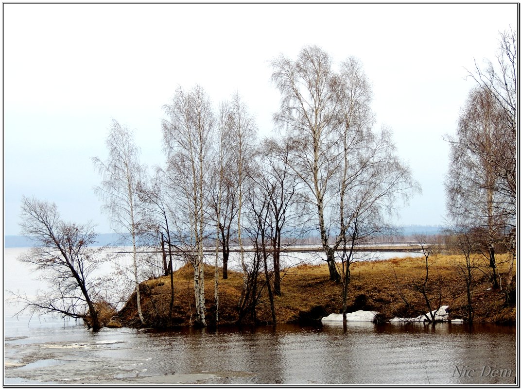 Паводок - Николай Дементьев 