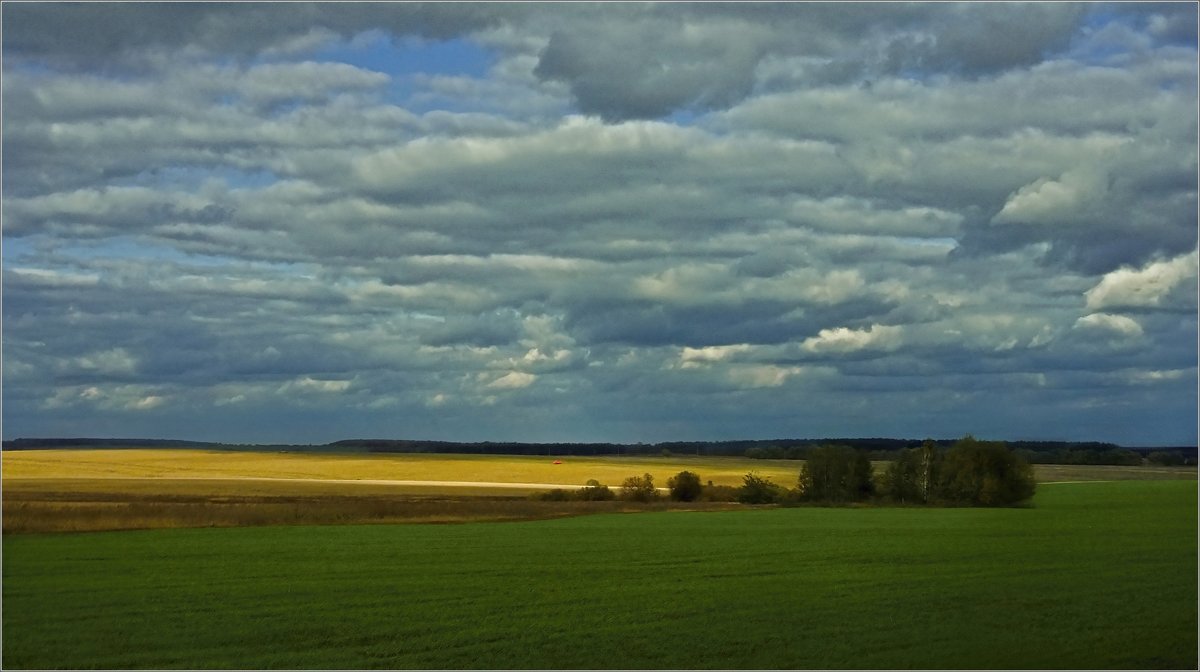 +++ - Тарасенко Владимир +++ - Тарасенко Владимир