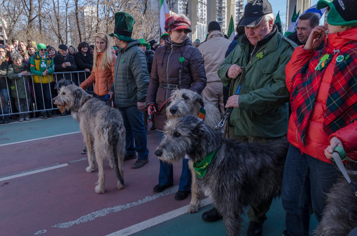 день святого Патрика. Москва 2015. Сокольники. - Лариса *