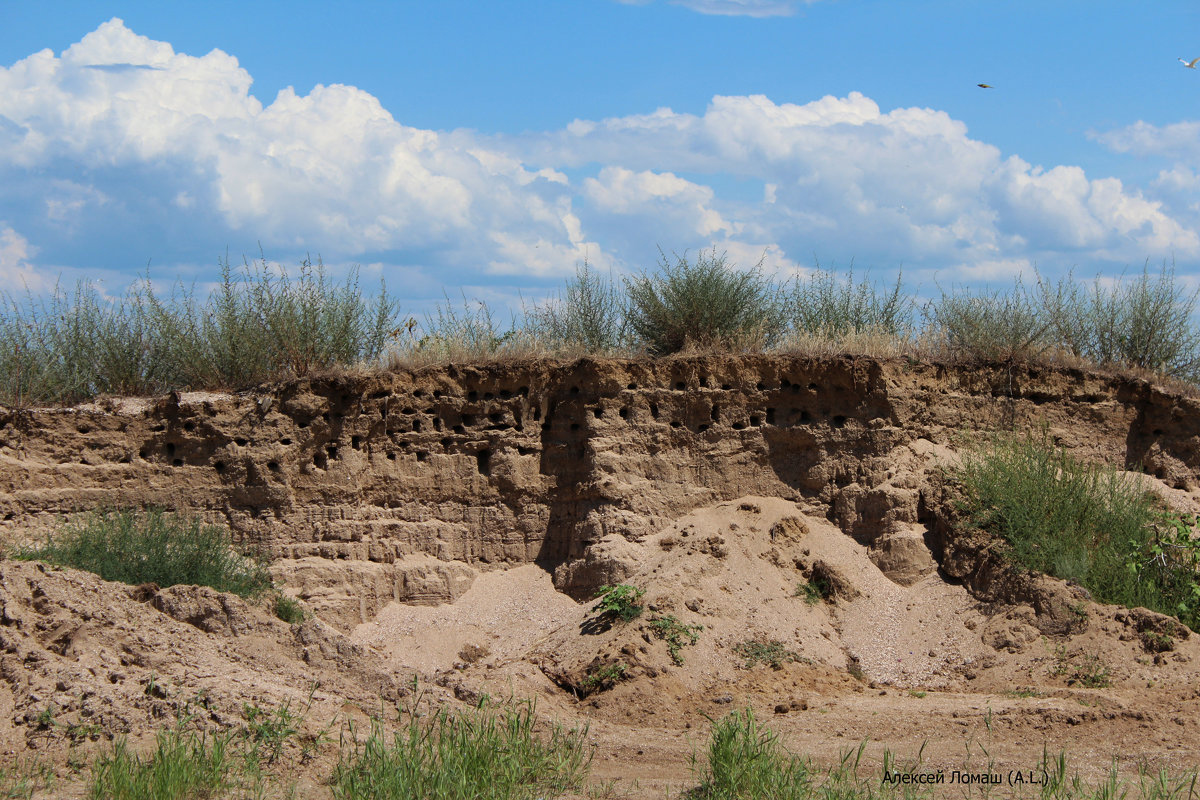Домики стрижей. - Алексей Ломаш