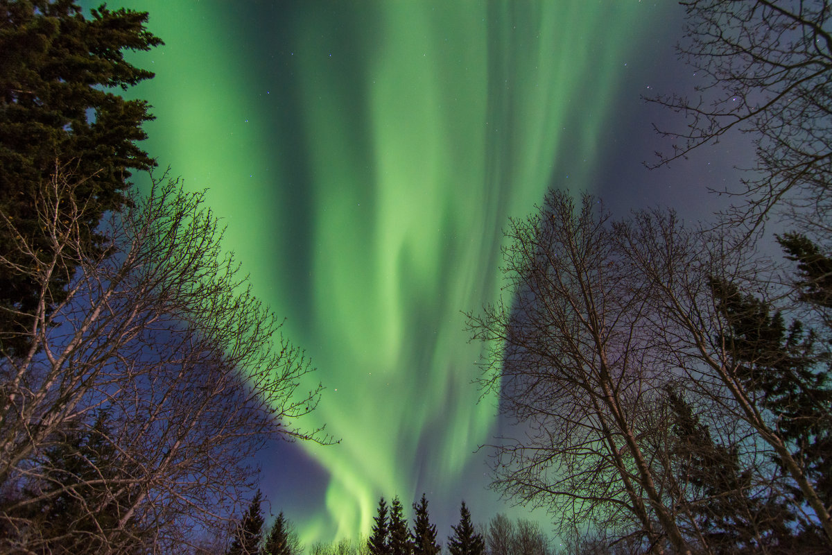 Aurora borealis - Сергей Бушуев